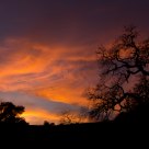 Sky on Fire